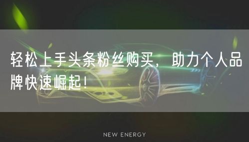 轻松上手头条粉丝购买,助力个人品牌快速崛起!