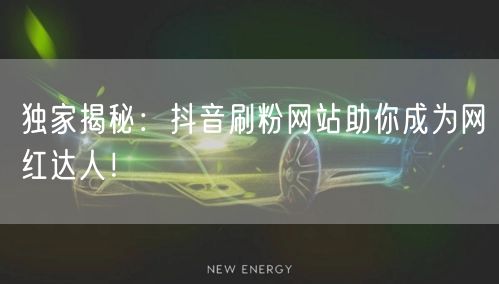 独家揭秘:抖音刷粉网站助你成为网红达人!