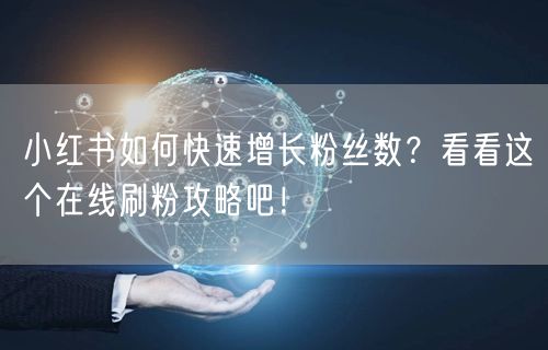 小红书如何快速增长粉丝数?看看这个在线刷粉攻略吧!