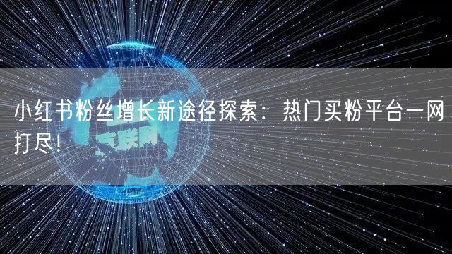 小红书粉丝增长新途径探索:热门买粉平台一网打尽!