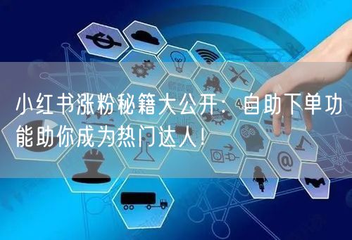 小红书涨粉秘籍大公开:自助下单功能助你成为热门达人!