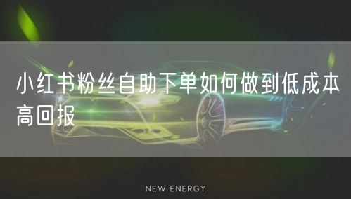 小红书粉丝自助下单如何做到低成本高回报