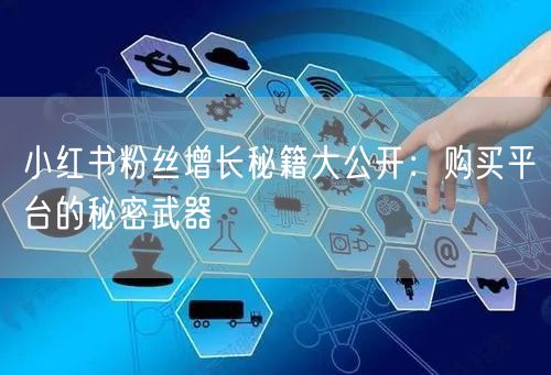 小红书粉丝增长秘籍大公开：购买平台的秘密武器