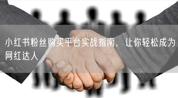 小红书粉丝购买平台实战指南，让你轻松成为网红达人