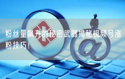 粉丝量飙升的秘密武器揭秘视频号涨粉技巧！