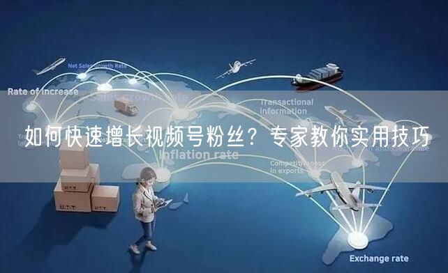如何快速增长视频号粉丝？专家教你实用技巧